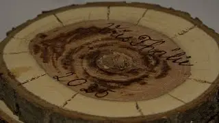Vřes Thálie 2025