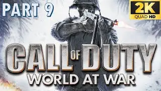 Прохождение игры Call of Duty World at War, кампания, часть 9, 2K, 60 кадров в секунду, без комме...