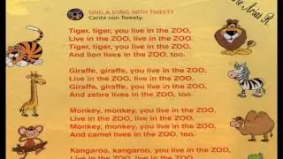 We Live in the Zoo (Song)