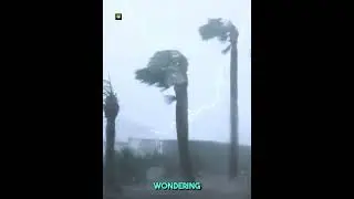 Не тревожьте природу, в Дубае сильный шторм и дождь!