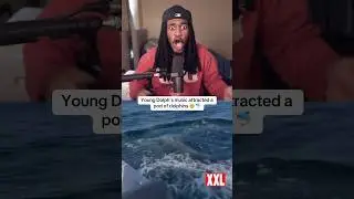 Young Dolph's music ATTRACTS dolphins 🤯