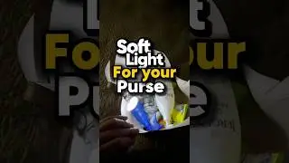 Great purse light not too bright just right for all purses a must have