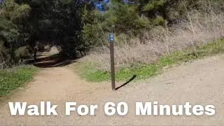A Long Hike Through KENNETH HAHN STATE PARK on the Walking Trail