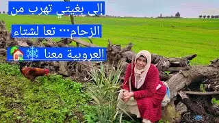إلى بغيتي تهرب من الزحام… تعا لشتاء العروبية معنا 🏡
