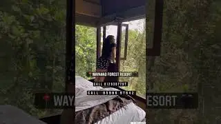📍Wayanad Forest Resort