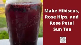 MAKE A HYDRATING HIBISCUS, ROSE HIPS, AND ROSE PETAL SUN TEA!