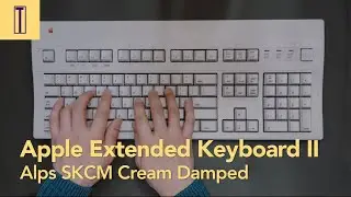 Apple Extended Keyboard(AEK) II Keyboard Typing (Alps SKCM Cream Damped) 애플 확장2 알프스 크림 댐프축 키보드 타건