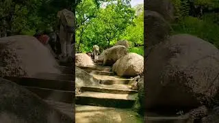 JESSORE TRAVEL VIDEO||FULL VLOG IN DESCRIPTION|| #mj_photography #travel #vlog