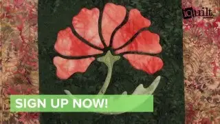 Appliqu&eacute; in Reverse iquilt Course
