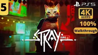 STRAY/ Part 5 Doc & Zbaltazar Notes / PS5 / 100% Walkthrough / No commentary