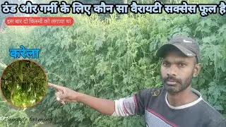 करेला ठंड और गर्मी में कौन सा वैरायटी को लगाए एक बार जरूर जाने लगाने से पहले 🙏💥bitter gourd farming 
