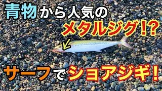 青物から人気のメタルジグ！？ サーフでショアジギング！