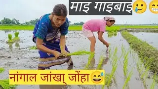 Dwijlag bwtwr Lwgwfwr 😅🌧️नांगाल जांखा् //Mai gainai video//Riturani Narzary//