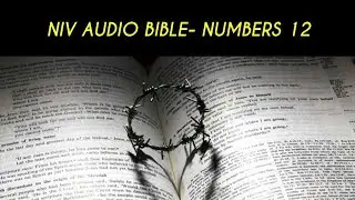 NUMBERS 12 NIV AUDIO BIBLE (with text)