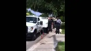 San Antonio ACS picks up chained dogs