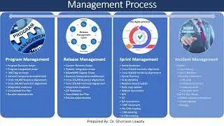 Management Process From Macro-Management to Micro-Management