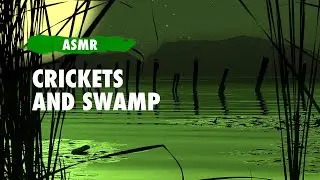 ASMR Crickets and Swamp | Sleep Sound | Relaxing Sound | Ambience