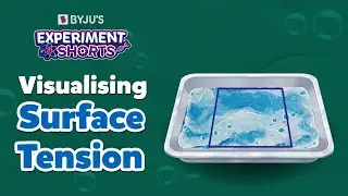 Visualising Surface Tension | Science Experiments at Home | #ExperimentShorts | BYJU'S