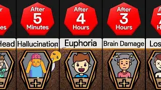 Timeline: If You Were Buried Alive