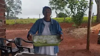 Fazendo gelado de abacaxi
