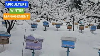 मधुमक्खी पालन की बर्फबारी में देखभाल | Apiculture Winter Management | Beekeeping Tips | Mountain Bee
