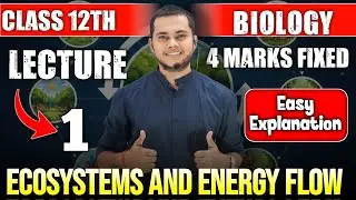 ECOSYSTEM AND ENERGY FLOW| Lecture 1| Structure and Function | Class 12 Biology 