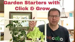 Inside Garden Starters with Click and Grow Plus New Arrivals for Peppers and Chives!