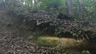 Hatfield McCoy trails Warrior double black 95 first run beautiful trail @Sidebysideuntamed