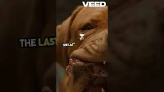 AITA for not allowing my friend 