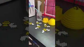 BEST COASTER SET!🐝 #cool3dprints #3dprinting #3dprinted #3dprinter #3dprint #asmr #bee #honey #cool
