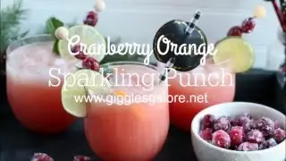 Cranberry Orange Sparkling Punch Recipe
