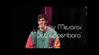 Niklas Mesaros - 
