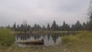 Grand Teton National Park, Wyoming - Schwabacher's Landing - Sept 2020 - GOPR3946