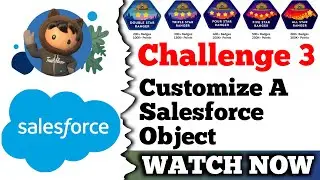 Customize a Salesforce Object | Salesforce Trailhead | Create Lookup Filters | Challenge 3