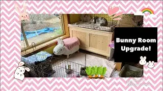 Bunny Room Upgrade!