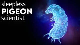 The Secret Organism That Survives in Space Without Protection: Nature's Most Indestructible Life For