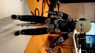 Innorobo 2014 - Humanoid Robot Playing With a Ball