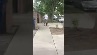 Scout Passes the Squirrels