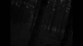 Der Wald - Horror und Grusel - Klangwelten
