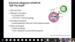 CAR-T Cells : enjeu clinique et toxicite aïgue - Nicolas Boissel