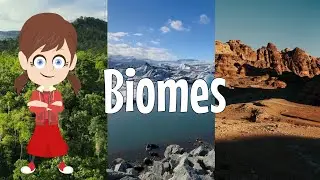 What Are Biomes? | Easy Explanation for Kids - Rainforest, Desert, Ocean & More!
