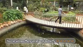 The Butterfly Park, Bannerghatta || Chitte Park...
