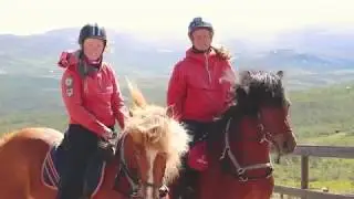 Hjerkinn fjellstue og fjellridning