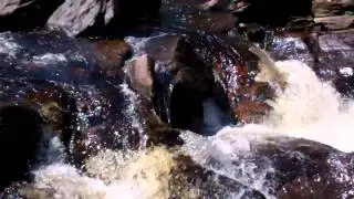 Falls Of Dochart Killin Scotland
