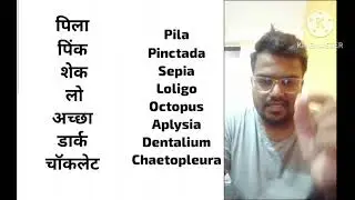 # animal kingdom# examples of mollusca easy trick # neet motivation