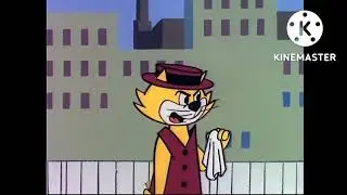 Top Cat Is Crying Little Bit