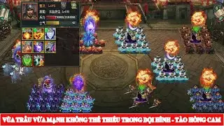 V&Ugrave;A TR&Acirc;U VỪA MẠNH KH&Ocirc;NG THỂ THIẾU TRONG ĐỘI H&Igrave;NH - T&Agrave;O HỒNG CAM