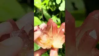Tangerine quartz stone is good for those seeking more understanding, growth or acceptance. ✴️