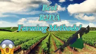 Top 4 BEST farming methods in roblox R2DA!