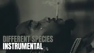 Offset - Different Species (Instrumental) ft. Gunna